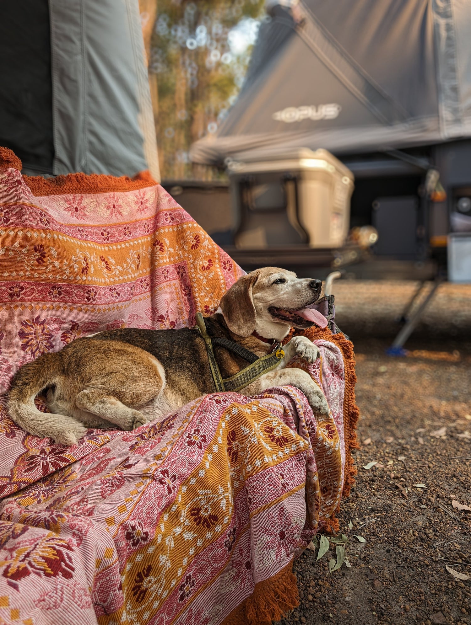 Camping